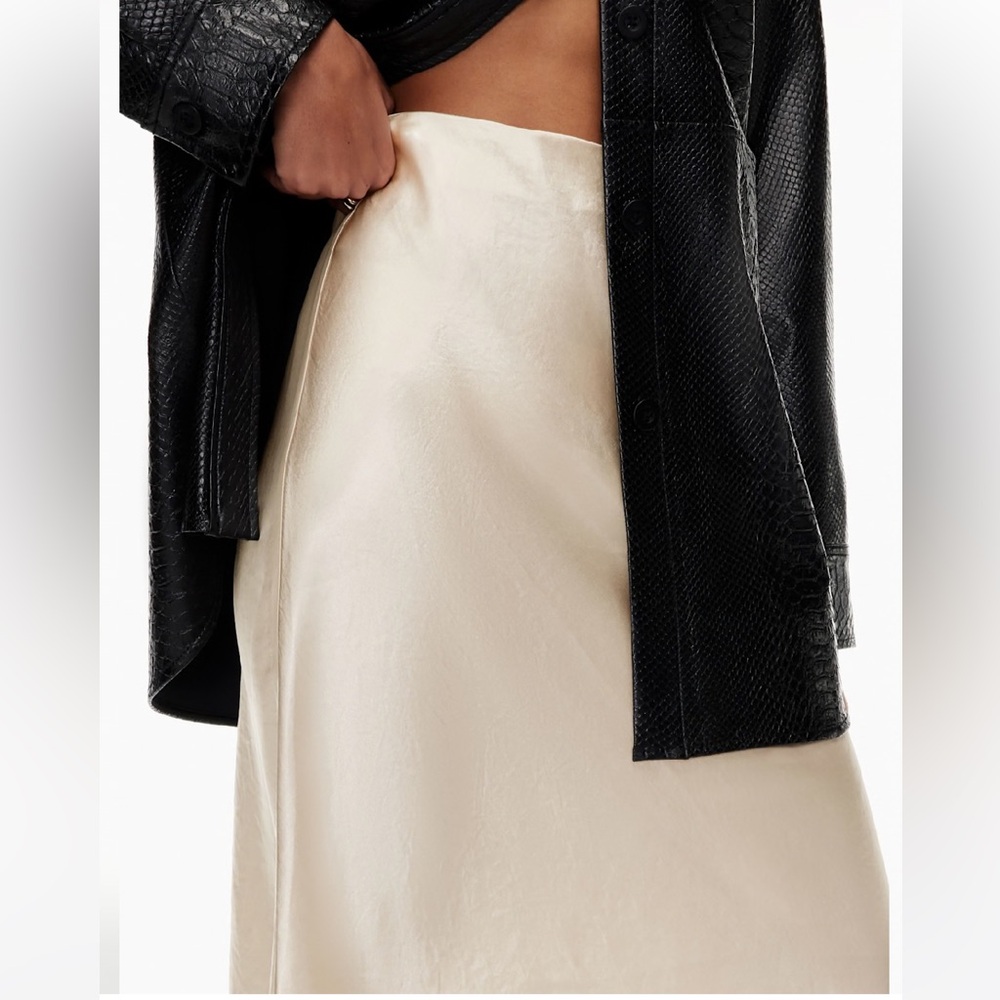 Bundle of Aritzia Skirts